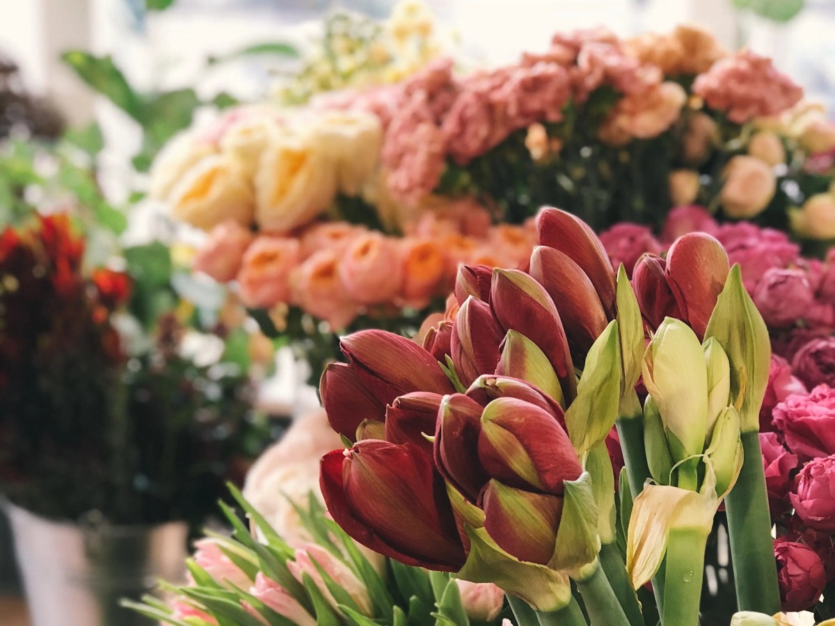 ‘Swing, tramp, and&nbsp;trudge’